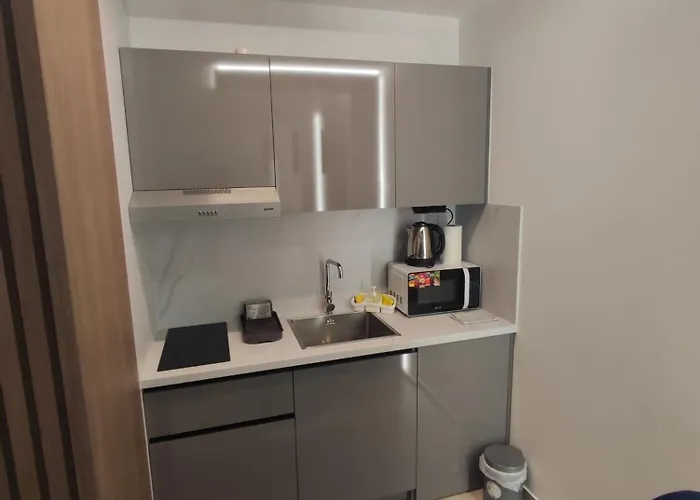 Srebrno Srce 아파트 *